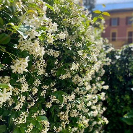 Minimal Chic House Parking And Private Garden Holiday home *