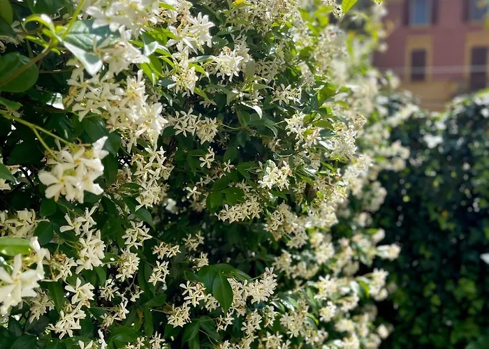 Minimal Chic House Parking And Private Garden 펜션 *